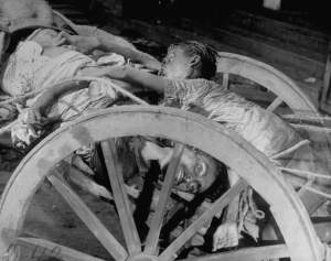 Corpses lying in a cart on their way to be cremated after bloody rioting between Hindus and Muslims.